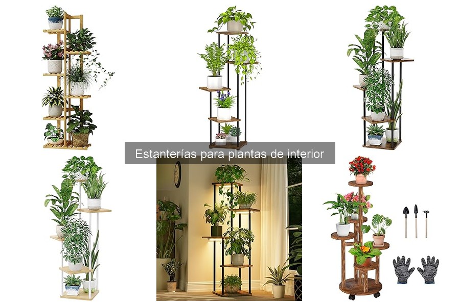 Dónde Comprar Estanterías para Plantas de Interior