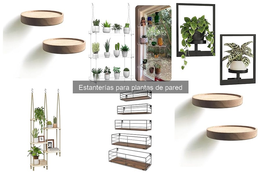 Dónde comprar estanterías para plantas de pared: Guía 2023