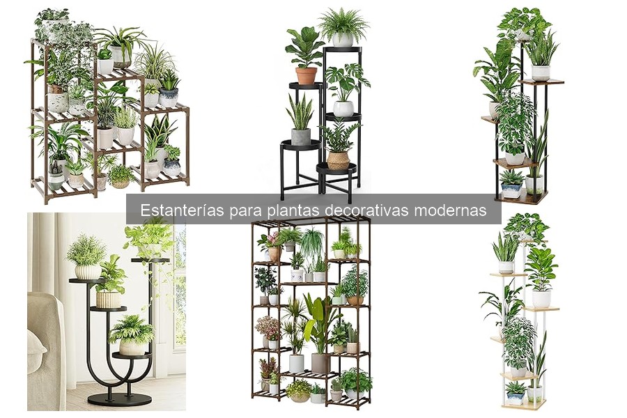Dónde comprar estanterías para plantas decorativas modernas