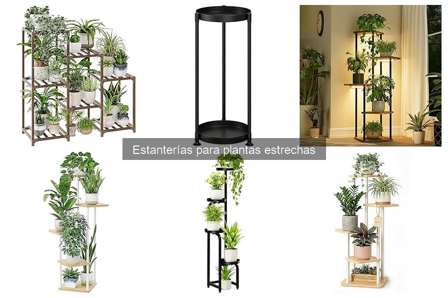 Dónde comprar estanterías para plantas estrechas fácilmente