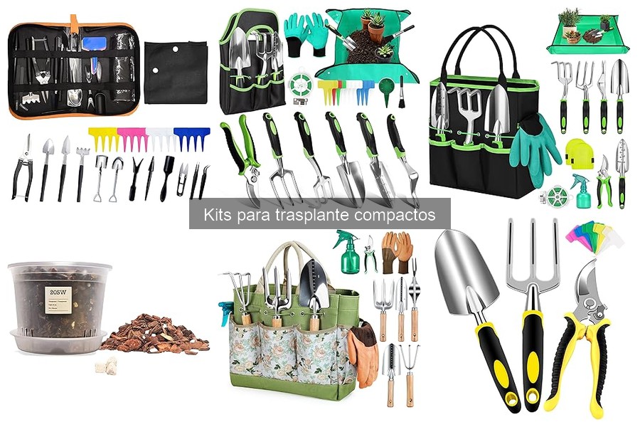 Dónde Comprar Kits de Trasplante Compactos a Buen Precio