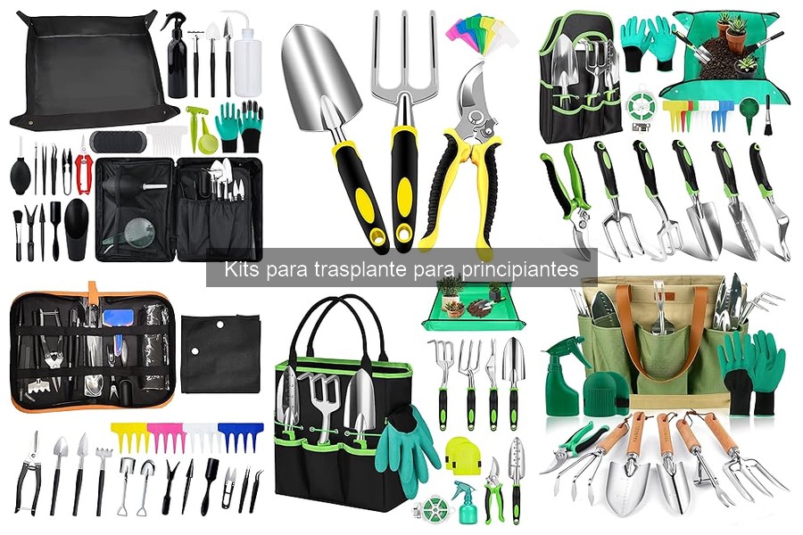 Dónde comprar kits de trasplante: opciones recomendadas