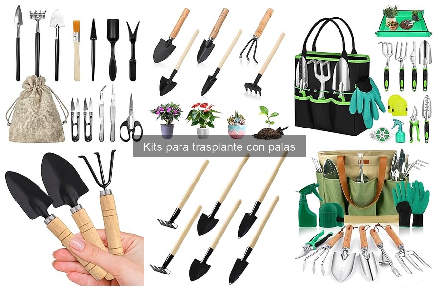 Dónde comprar kits para trasplante a buen precio 2023