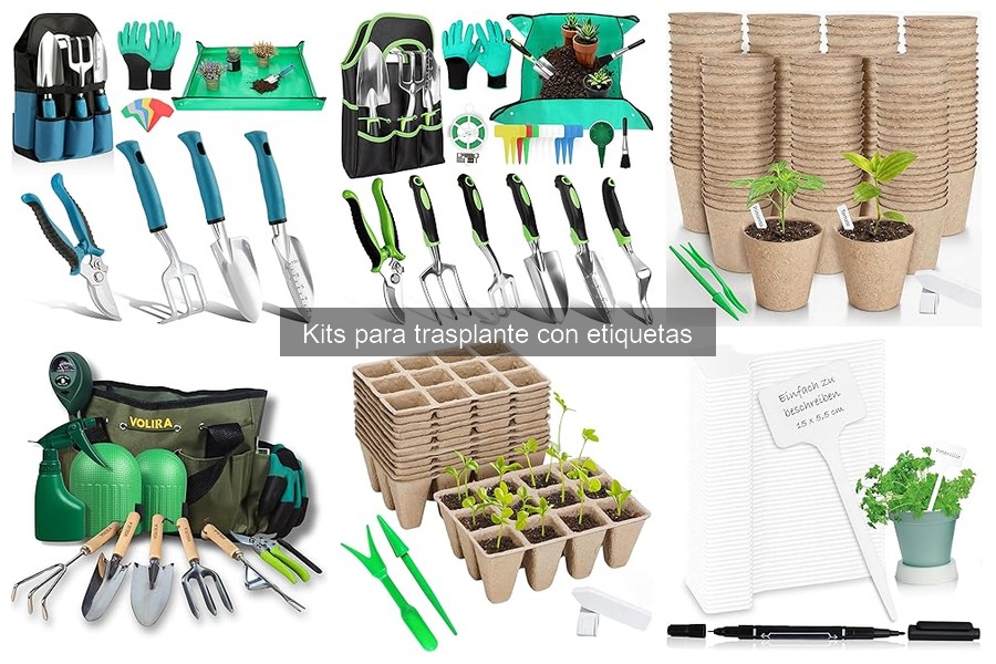 Dónde comprar kits para trasplante con etiquetas fácilmente
