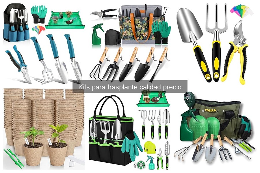 Dónde comprar kits para trasplante de plantas en línea