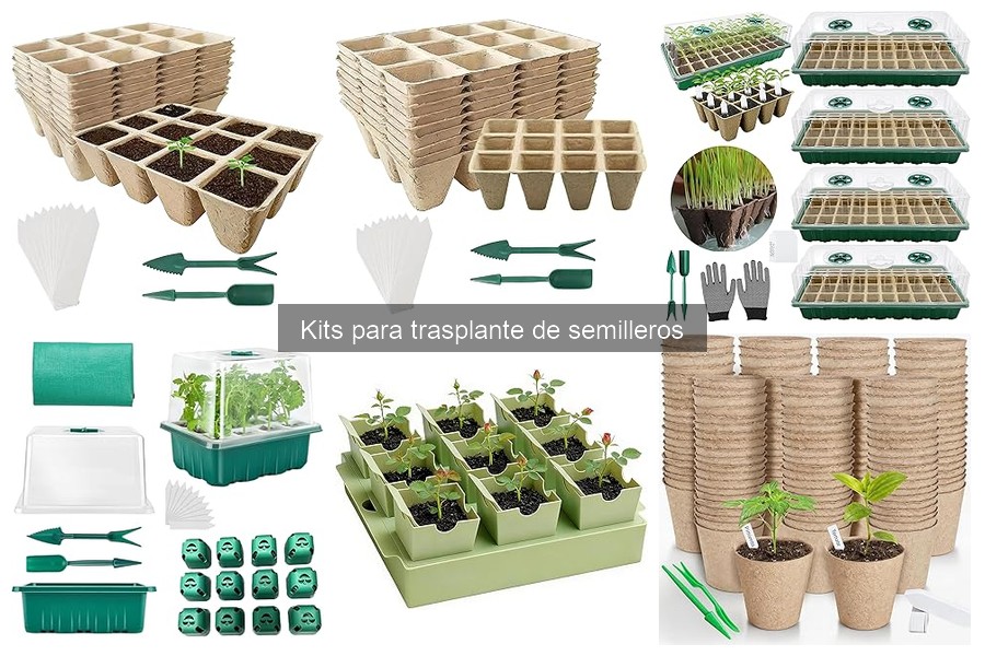 Dónde comprar kits para trasplante de semilleros económicos