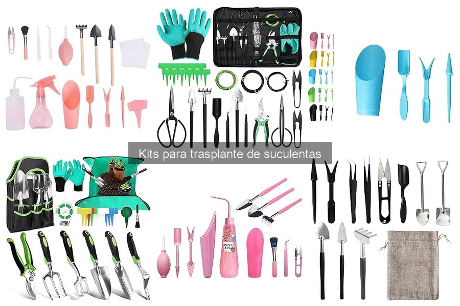 Dónde comprar kits para trasplante de suculentas en línea