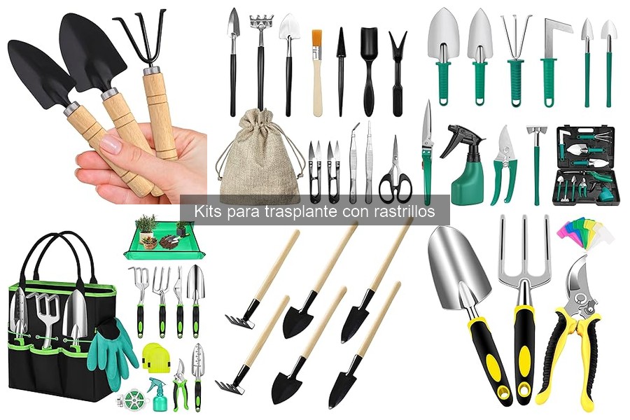 ¿Dónde comprar kits para trasplante? Mejores opciones online y más