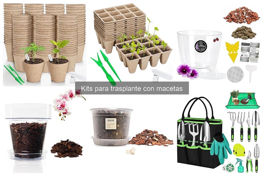 Dónde comprar kits para trasplante online: Mejores opciones