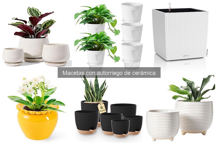Dónde comprar macetas con autorriego de cerámica a buen precio