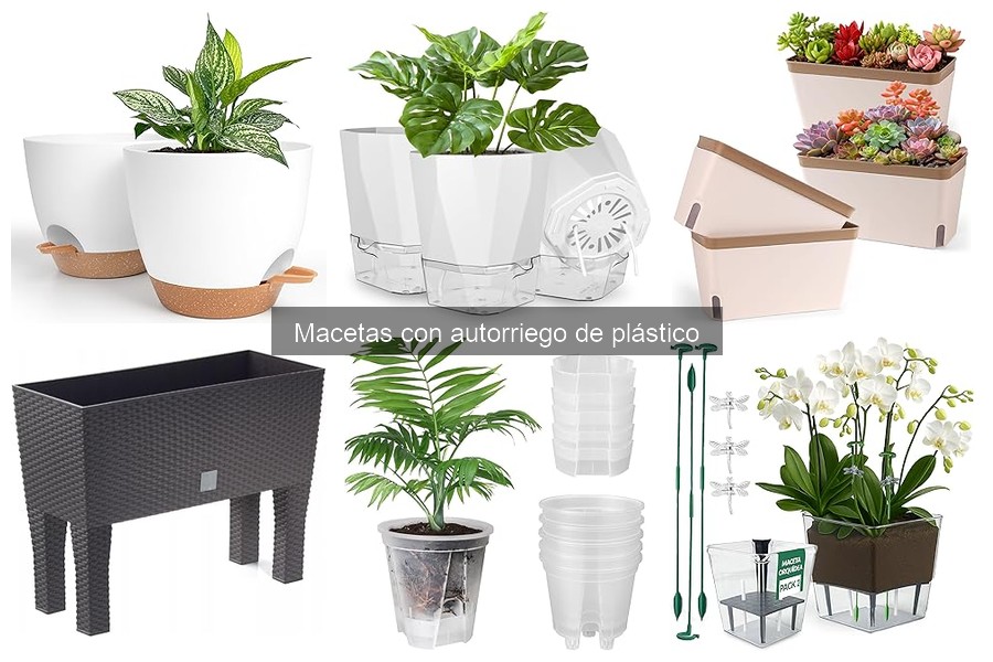 Dónde comprar macetas con autorriego de plástico al mejor precio