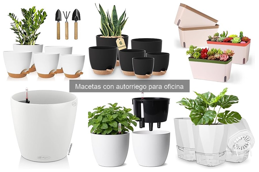 Dónde comprar macetas con autorriego para tu oficina