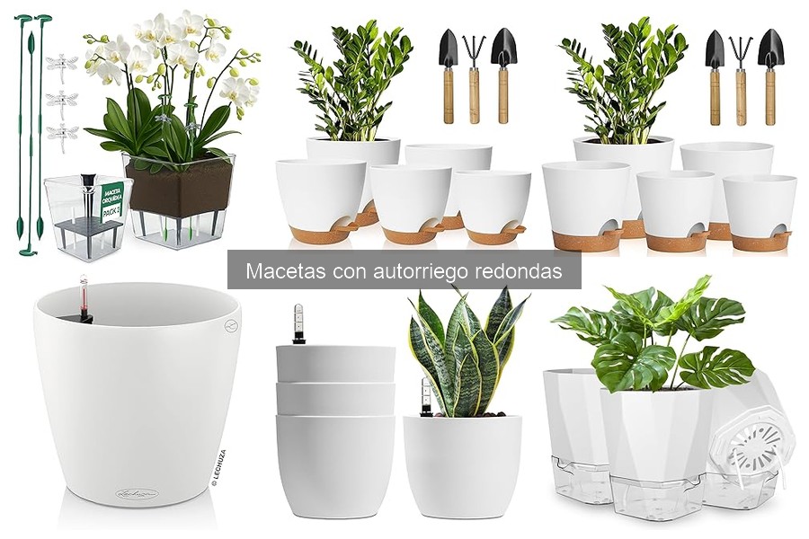 Dónde comprar macetas con autorriego redondas a buen precio