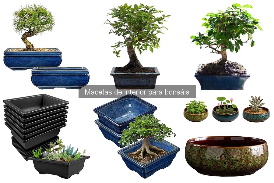 Dónde comprar macetas de bonsáis de calidad online