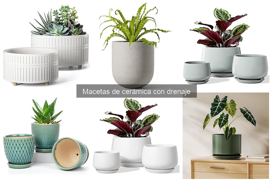 Dónde comprar macetas de cerámica con drenaje a buen precio