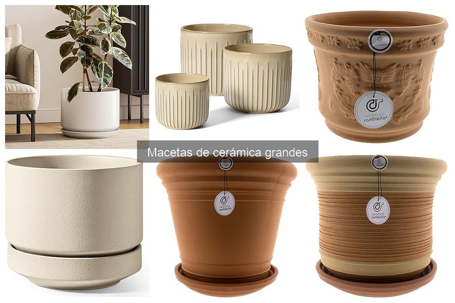 Dónde comprar macetas de cerámica grandes a buen precio