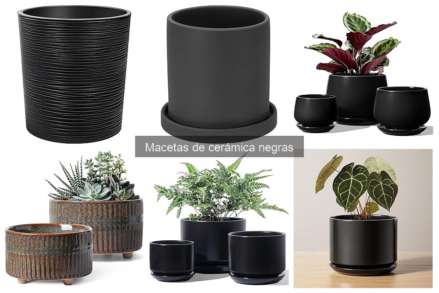 Dónde comprar macetas de cerámica negras: mejores opciones