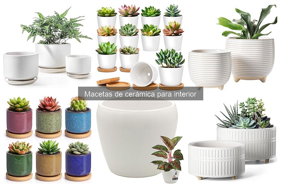 Dónde comprar macetas de cerámica para interior