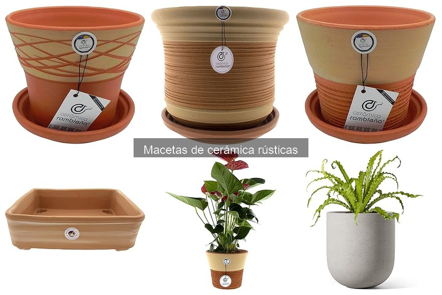 Dónde comprar macetas de cerámica rústicas online