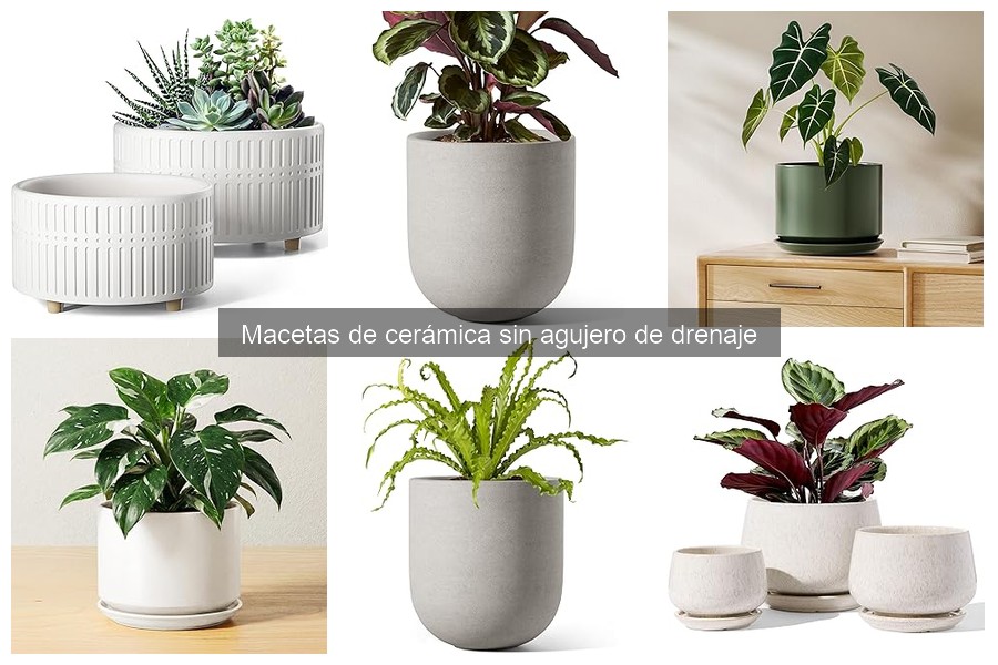 Dónde comprar macetas de cerámica sin agujero de drenaje