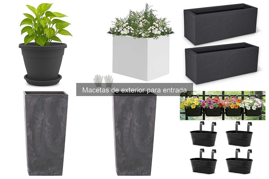 Dónde comprar macetas de exterior para entradas: mejores opciones