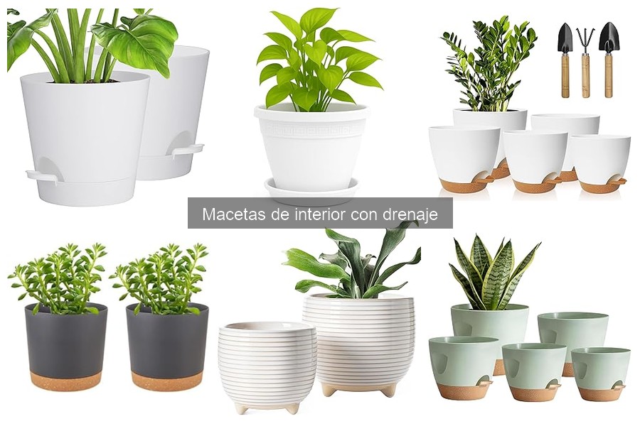Dónde comprar macetas de interior con drenaje a buen precio
