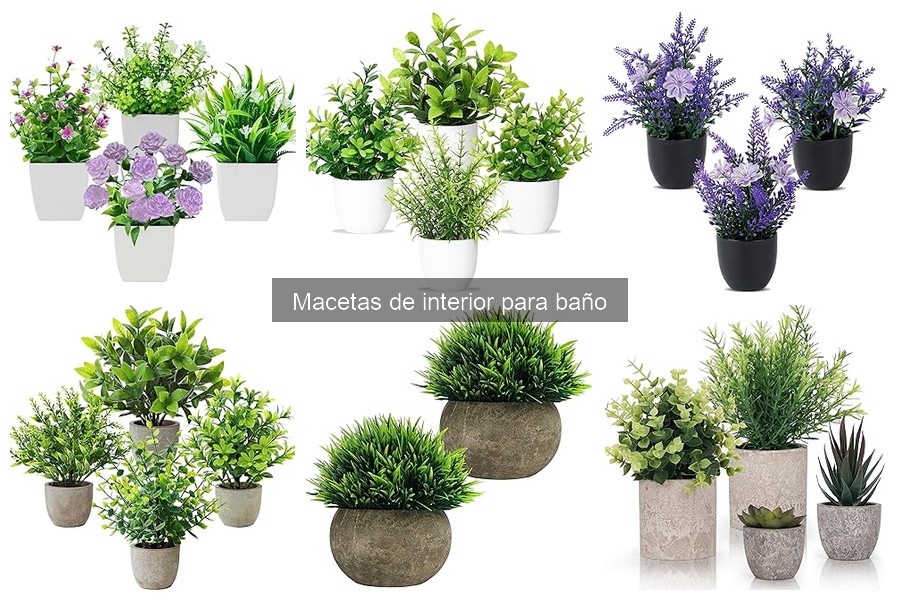 Dónde comprar macetas de interior para baño con estilo