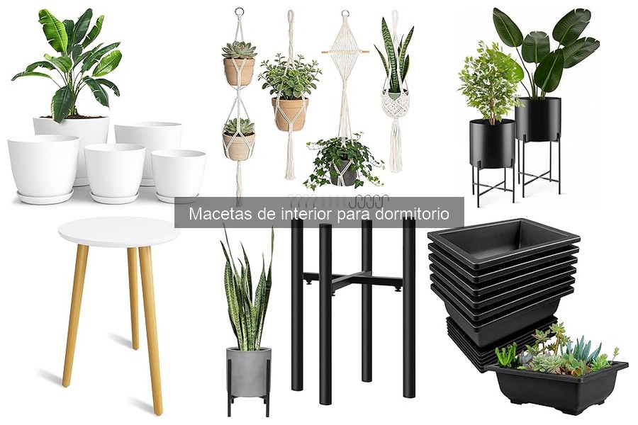 Dónde comprar macetas de interior para dormitorio