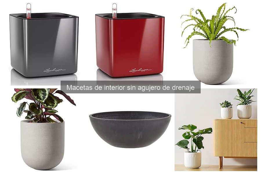 Dónde comprar macetas de interior sin agujero de drenaje