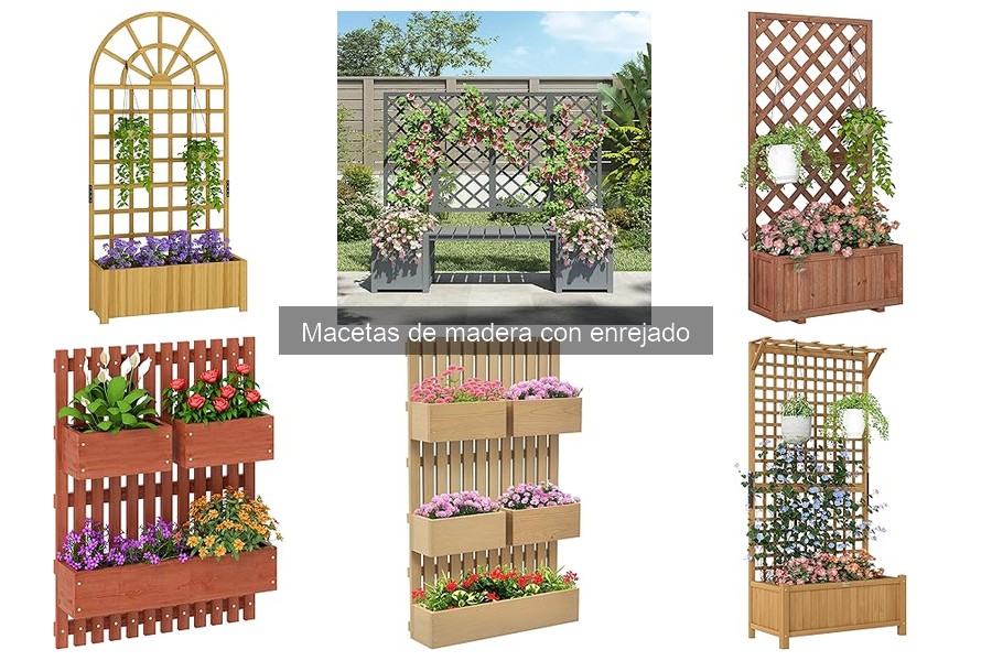 Dónde Comprar Macetas de Madera con Enrejado [Guía 2023]