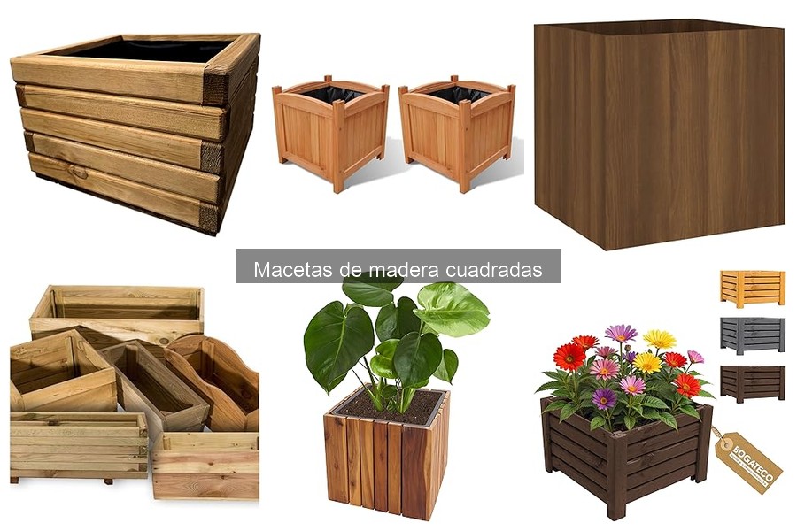 Dónde comprar macetas de madera cuadradas al mejor precio