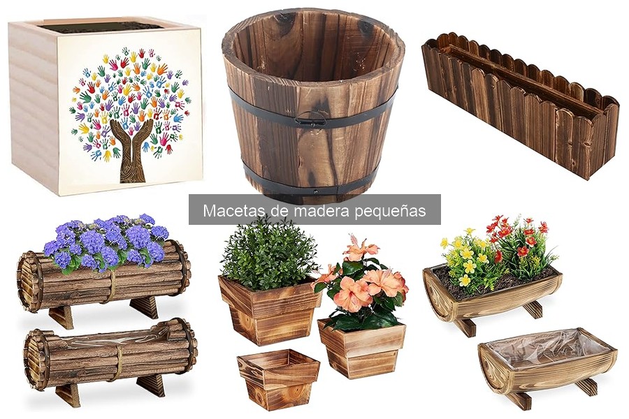 Dónde comprar macetas de madera pequeñas al mejor precio