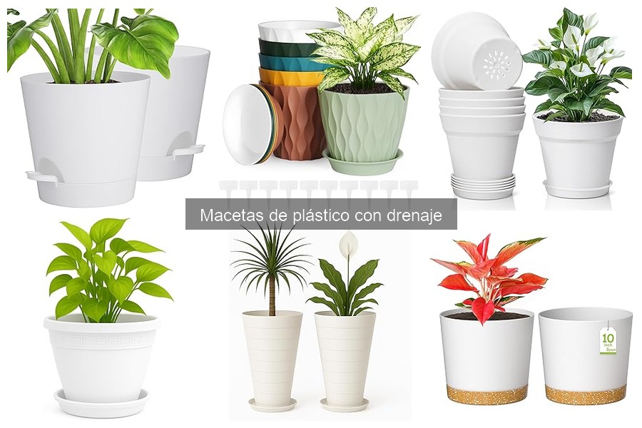 Dónde comprar macetas de plástico con drenaje: opciones y precios