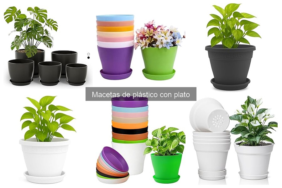 Dónde comprar macetas de plástico con plato con buen precio