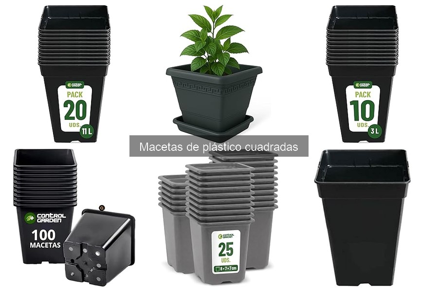 ¿Dónde comprar macetas de plástico cuadradas baratas?