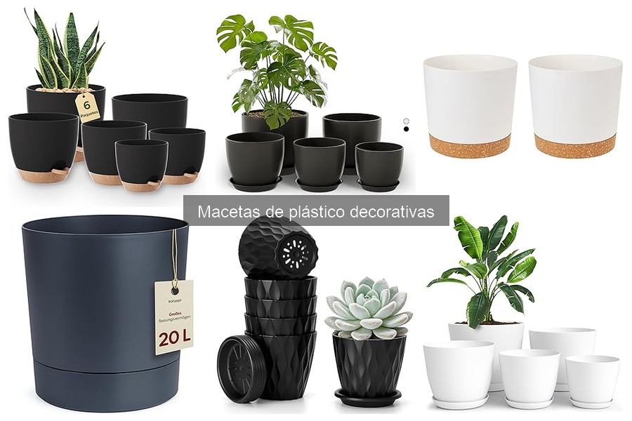 Dónde comprar macetas de plástico decorativas a buen precio