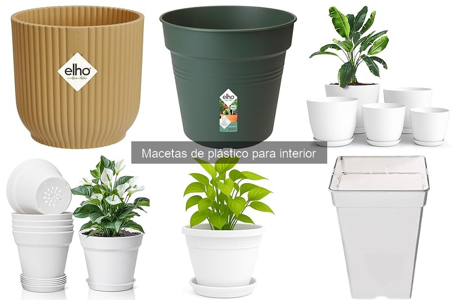Dónde comprar macetas de plástico para interiores a buen precio