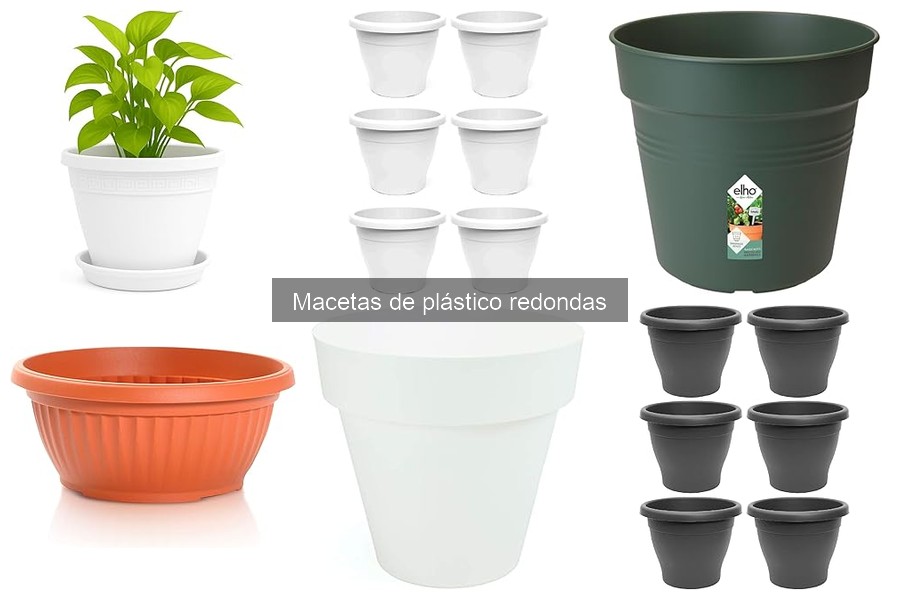 Dónde comprar macetas de plástico redondas online