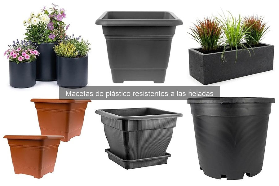 Dónde comprar macetas de plástico resistentes a las heladas