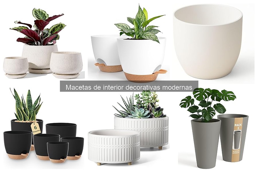 Dónde comprar macetas decorativas modernas de interior