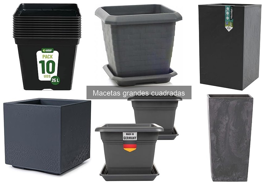 Dónde comprar macetas grandes cuadradas para interior y exterior