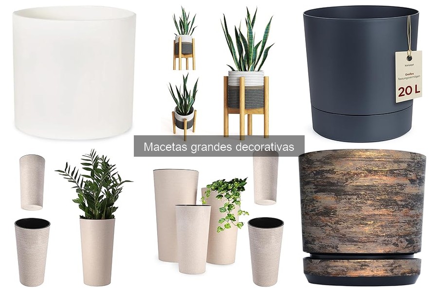 Dónde comprar macetas grandes decorativas baratas online