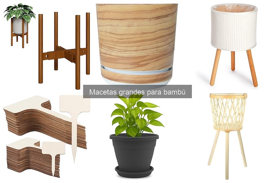 Dónde Comprar Macetas Grandes para Bambú Baratas