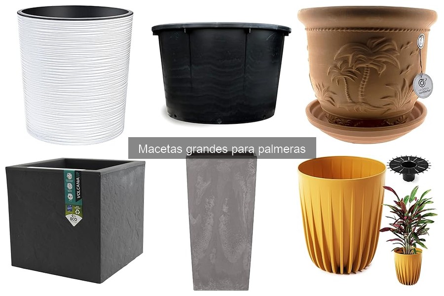 Dónde comprar macetas grandes para palmeras online