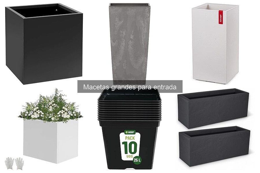 Dónde comprar macetas grandes para tu entrada