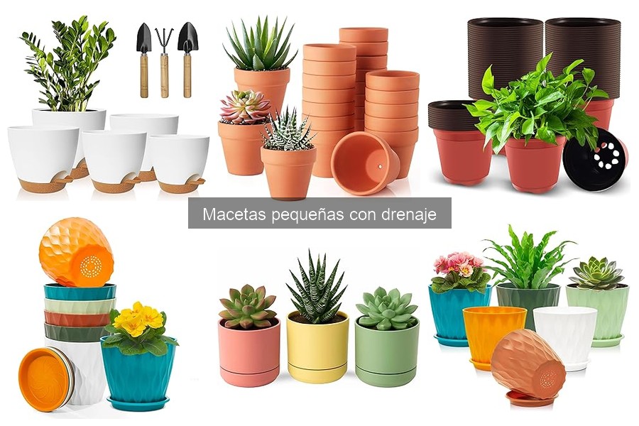 Dónde comprar macetas pequeñas con drenaje: mejores opciones