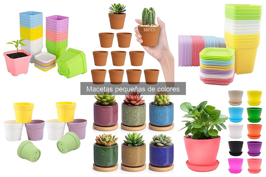 Dónde comprar macetas pequeñas de colores a buen precio