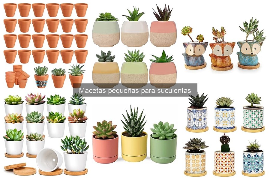 Dónde comprar macetas pequeñas para suculentas en 2023