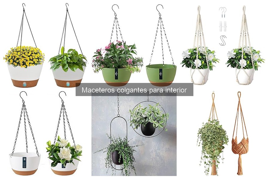 Dónde comprar maceteros colgantes de calidad para interior