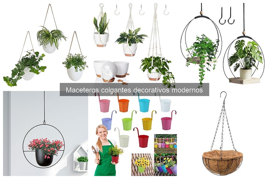 Dónde comprar maceteros colgantes decorativos modernos